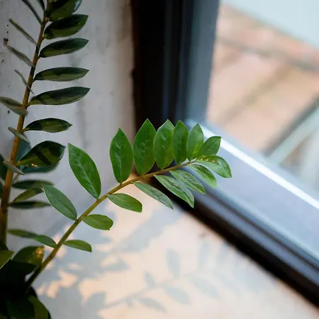 Charming Blue Apartamento *